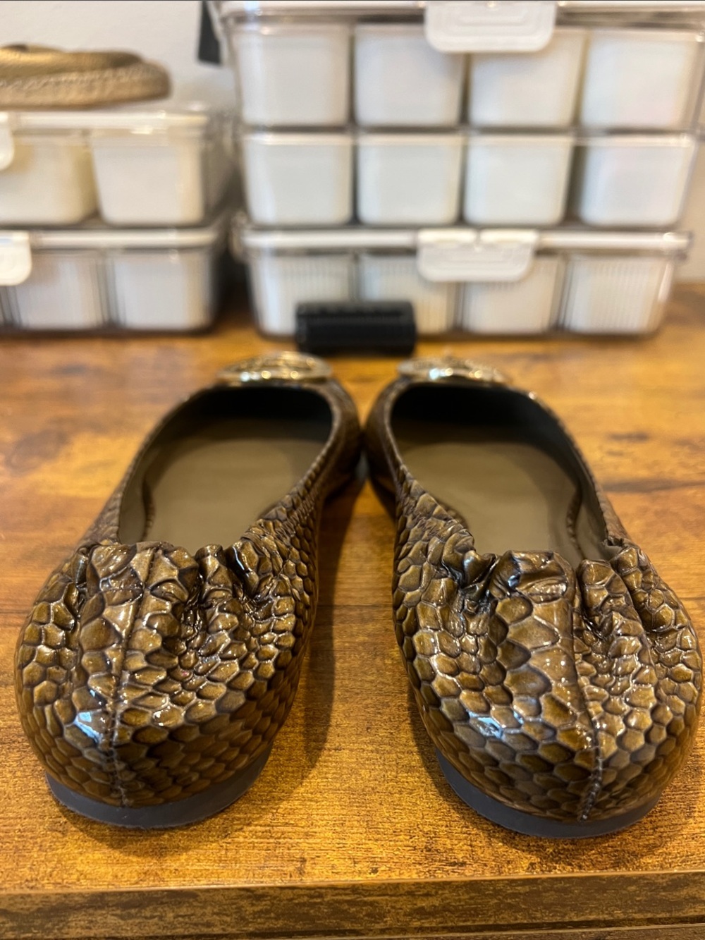 Tory Burch Olive Green Snake Print Flats with large logo medallion - Picture 6 of 10